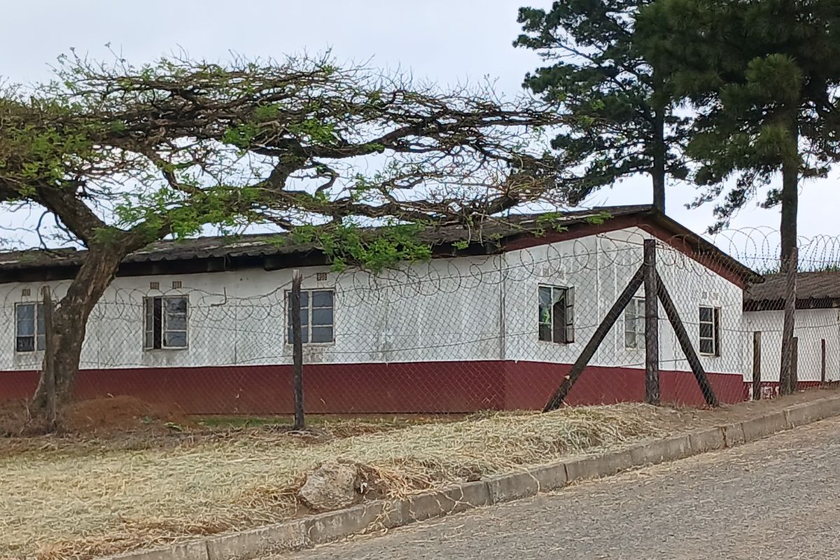 This 2.76 Ha farm perfect for Logistic and transport business operating between Melmoth and Richards - Photo 5
