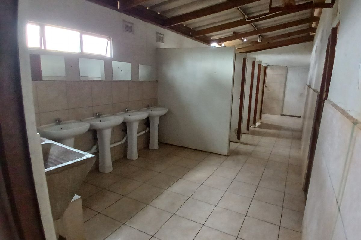 Industrial-style communal bathroom facility featuring multiple pedestal washbasins, tiled flooring, and partitioned toilet cubicles under an exposed roof structure.