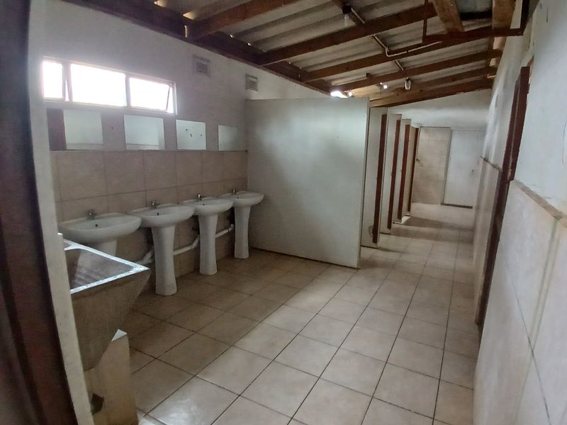 This 2.76 Ha farm perfect for Logistic and transport business operating between Melmoth and Richards - Photo 10