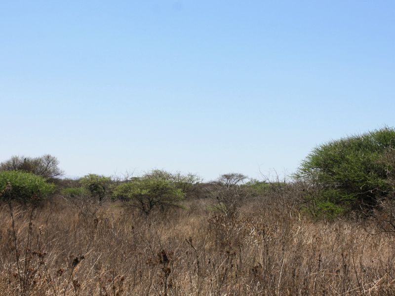 Exceptional 8.5 Hectare Small Holding in Kalkfontein Ah, Polokwane - Embrace this Tranquil Lifestyle - Photo 8