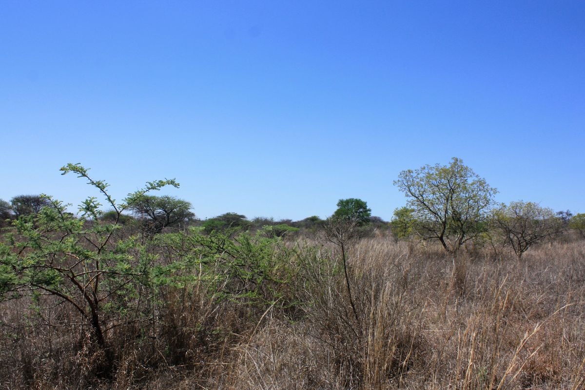 8.5 Hectare Small Holding for Sale in Kalkfontein AH, Polokwane - A Gem in the Heart of Limpopo - Photo 4