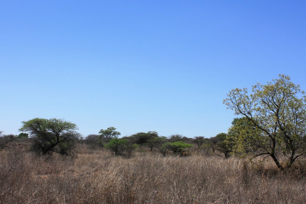 8.5 Hectare Small Holding for Sale in Kalkfontein AH, Polokwane - A Gem in the Heart of Limpopo - Photo 5