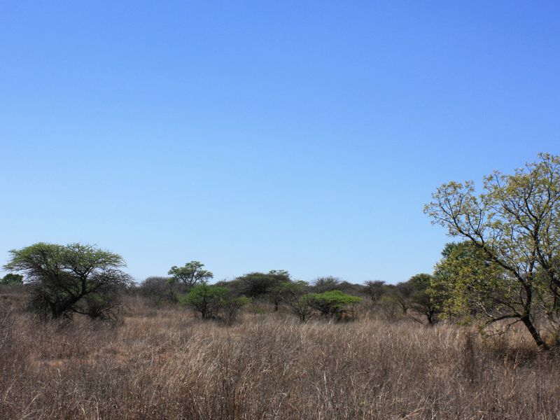 8.5 Hectare Small Holding for Sale in Kalkfontein AH, Polokwane - A Gem in the Heart of Limpopo - Photo 5