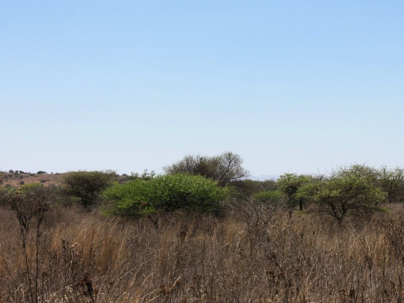 8.5 Hectare Small Holding for Sale in Kalkfontein AH, Polokwane - A Gem in the Heart of Limpopo - Photo 9