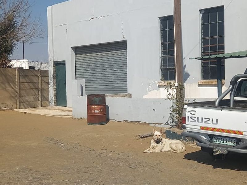 Rear exterior view of a commercial building featuring a roller shutter door, steel-framed windows, and a concrete boundary wall.