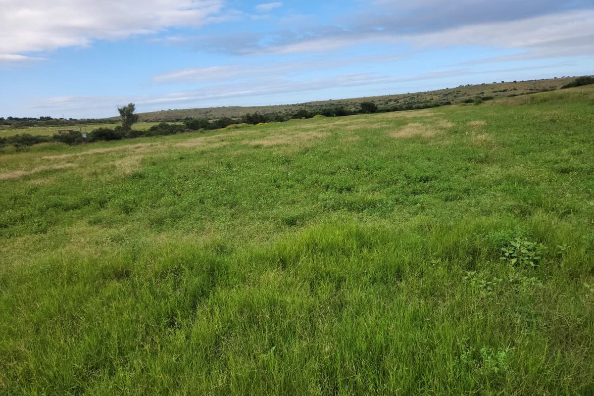 762.8845 Ha | Karoo Lifestyle & Livestock Farm | Cookhouse District | Fish River Water Rights - Photo 2