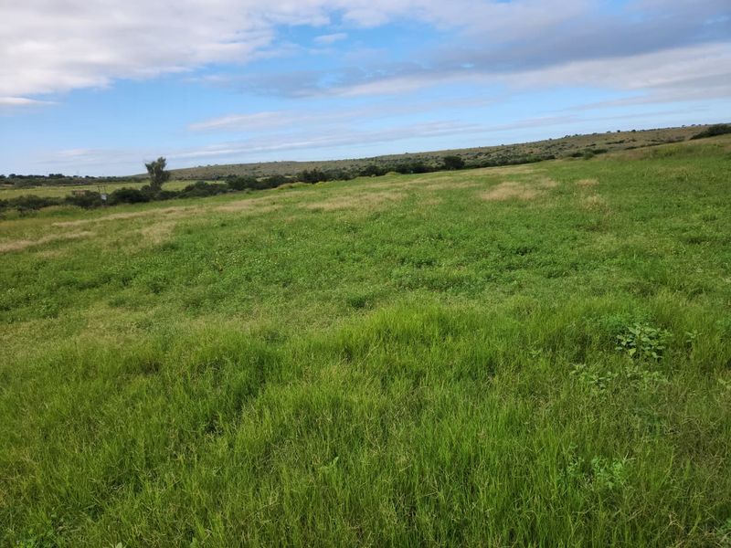 762.8845 Ha | Karoo Lifestyle & Livestock Farm | Cookhouse District | Fish River Water Rights - Photo 2