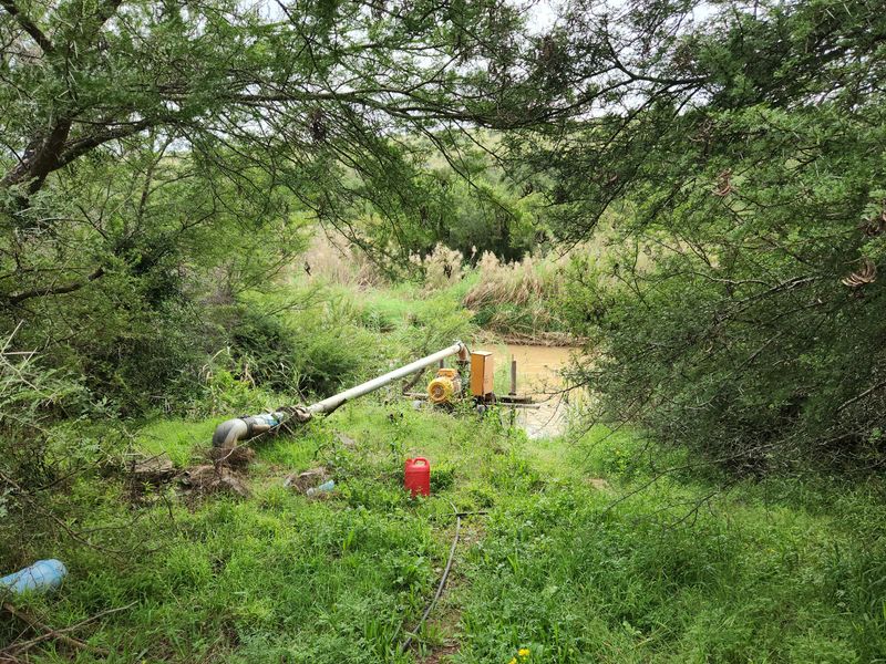 762.8845 Ha | Karoo Lifestyle & Livestock Farm | Cookhouse District | Fish River Water Rights - Photo 10