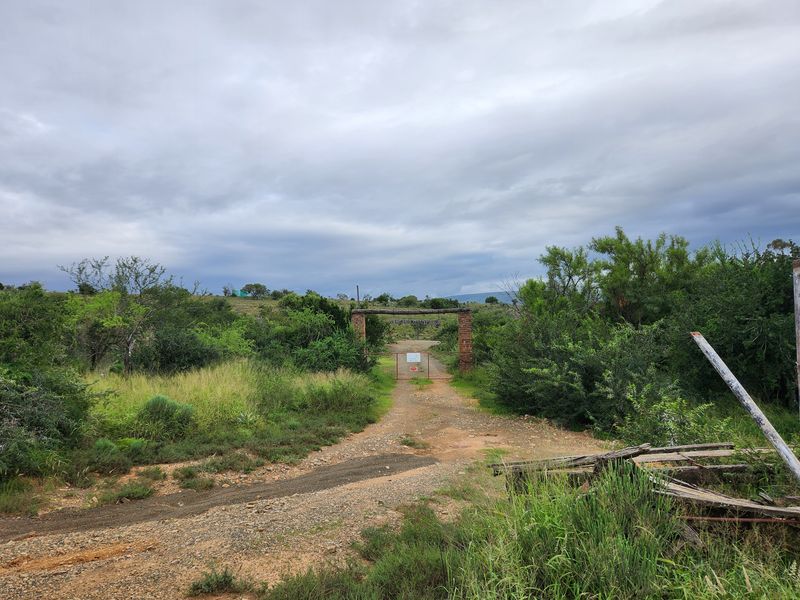 762.8845 Ha | Karoo Lifestyle & Livestock Farm | Cookhouse District | Fish River Water Rights - Photo 8