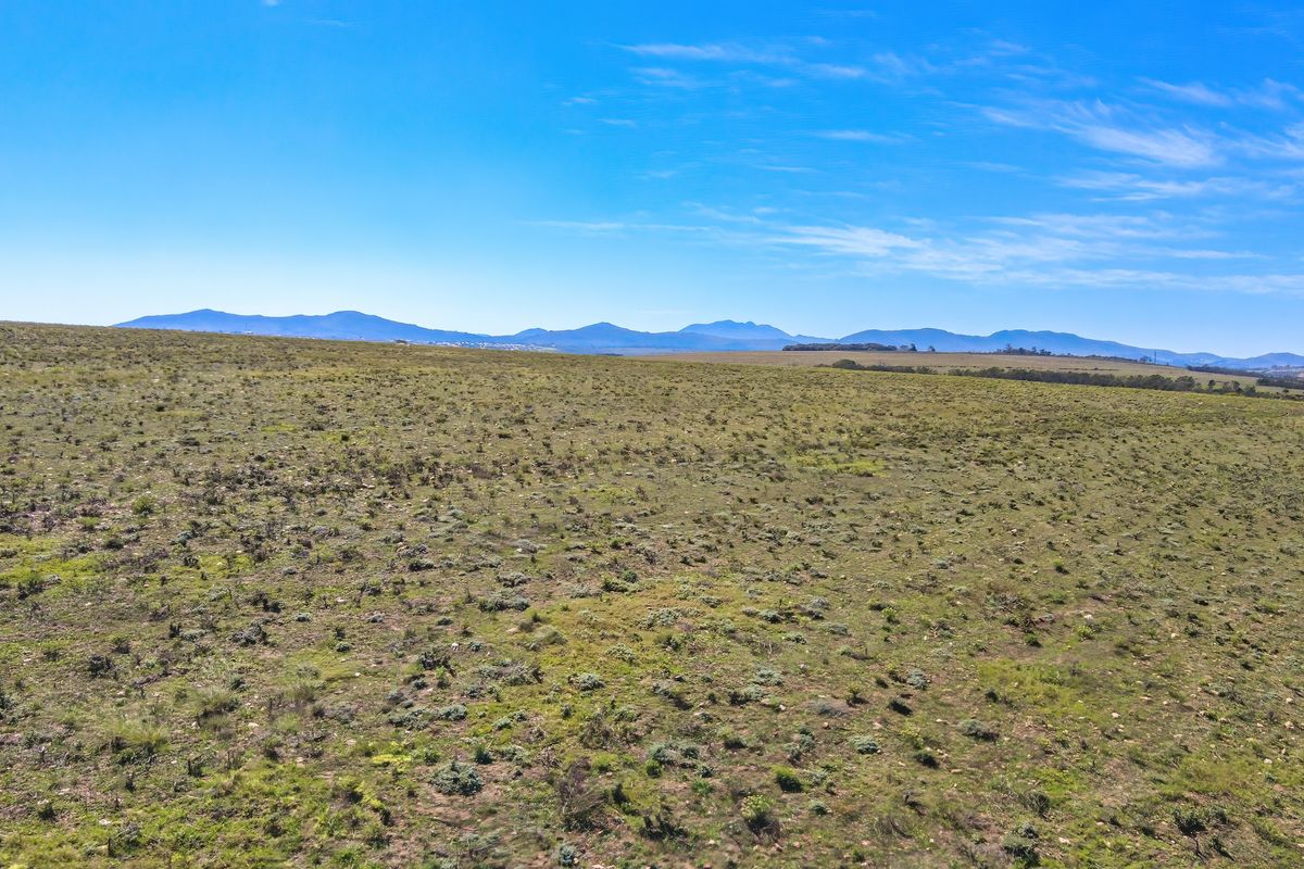 Your Perfect Coastal Escape — 47 Ha Hobby Farm FOR SALE BY AUCTION | Humansdorp | EC - Photo 2