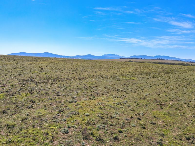 Your Perfect Coastal Escape — 47 Ha Hobby Farm FOR SALE BY AUCTION | Humansdorp | EC - Photo 2