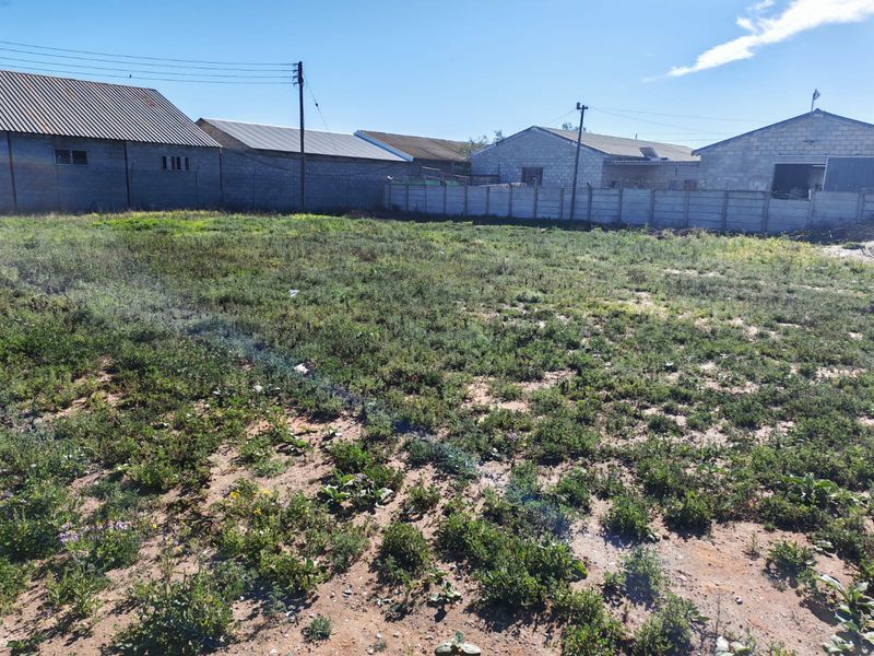 Vredendal: Industrieële gebou te koop - Photo 5