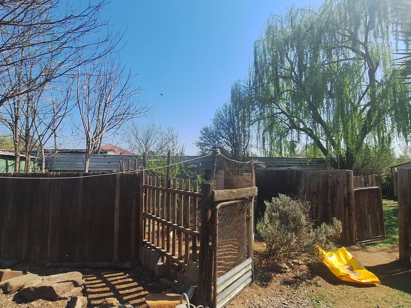 Outdoor garden area featuring weathered timber fencing, a wire mesh gate, and established trees, offering potential for landscaping improvements.