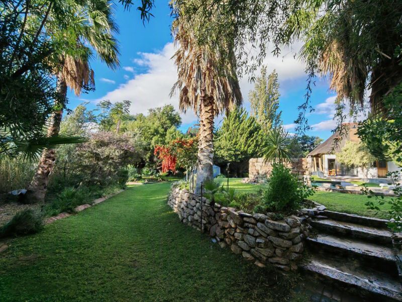 A well-maintained garden featuring a stone retaining wall, stone steps, and mature palm trees, providing a lush outdoor space for the guest house.