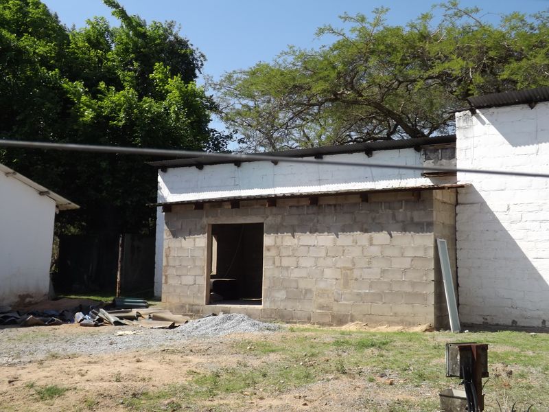 Well developed Macadamia Farm - Photo 10