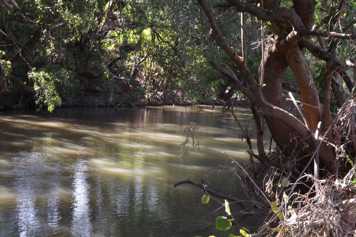 Well developed Macadamia Farm - Photo 2
