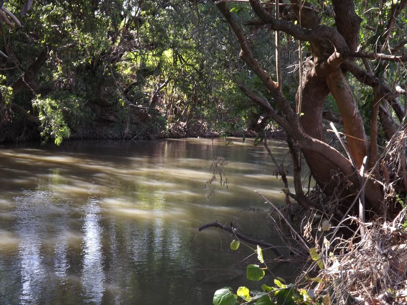 Well developed Macadamia Farm - Photo 2