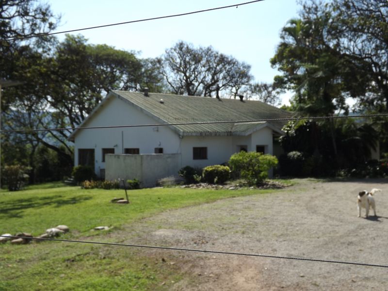 Well developed Macadamia Farm - Photo 8