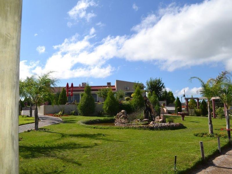 A well-maintained rear garden featuring a landscaped lawn, ornamental pond, paved pathways, and a terrace area leading to the main building structure.