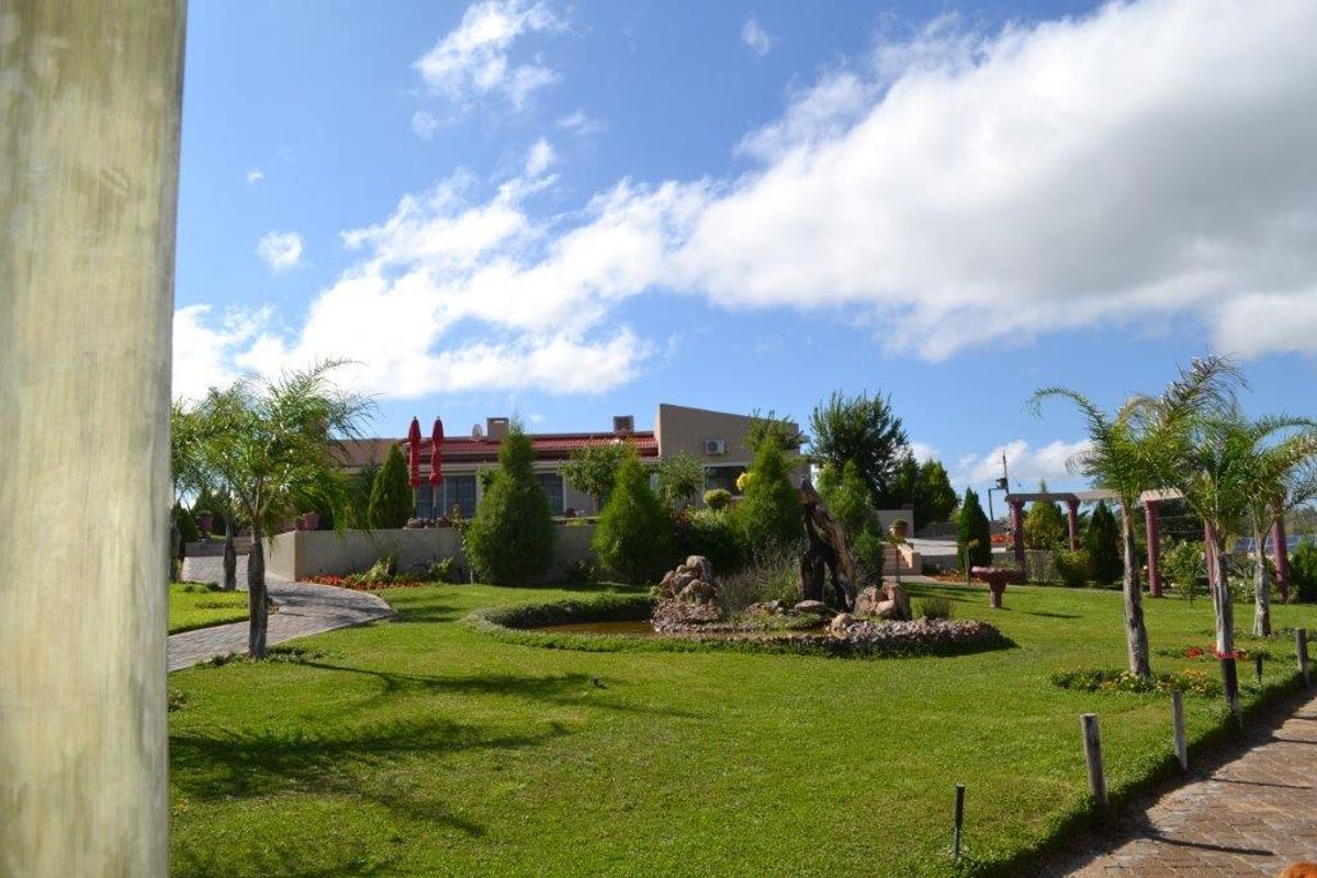 A well-maintained rear garden featuring a landscaped lawn, ornamental pond, paved pathways, and a terrace area leading to the main building structure.