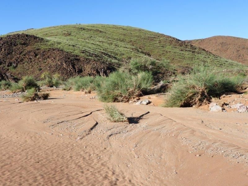 Farm For Sale In Karasburg - Photo 8