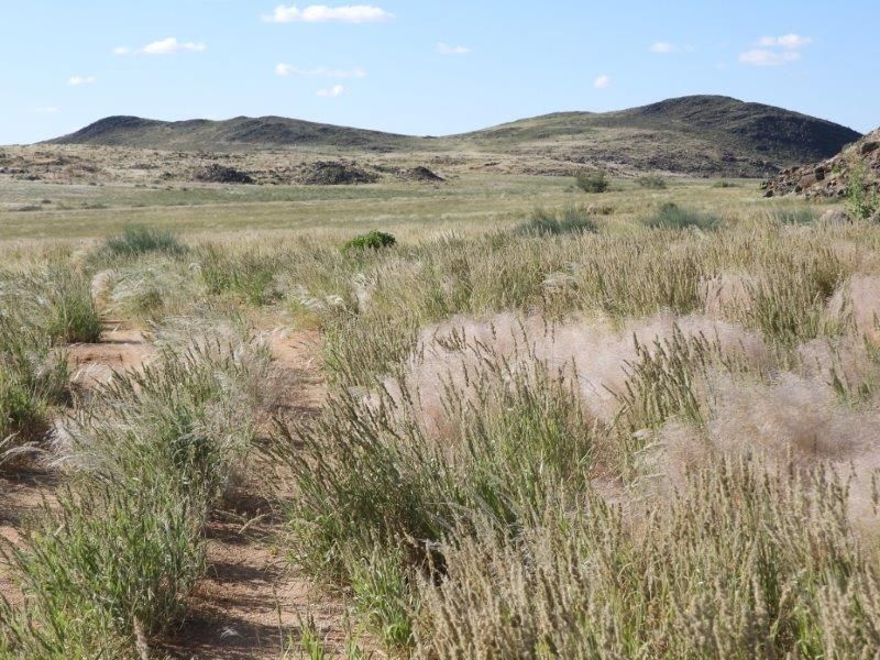 Farm For Sale In Karasburg - Photo 7