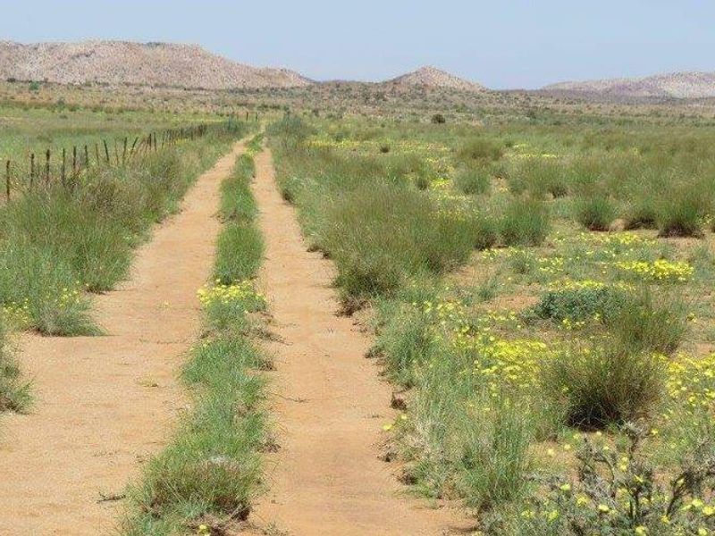 Farm For Sale In Karasburg - Photo 6