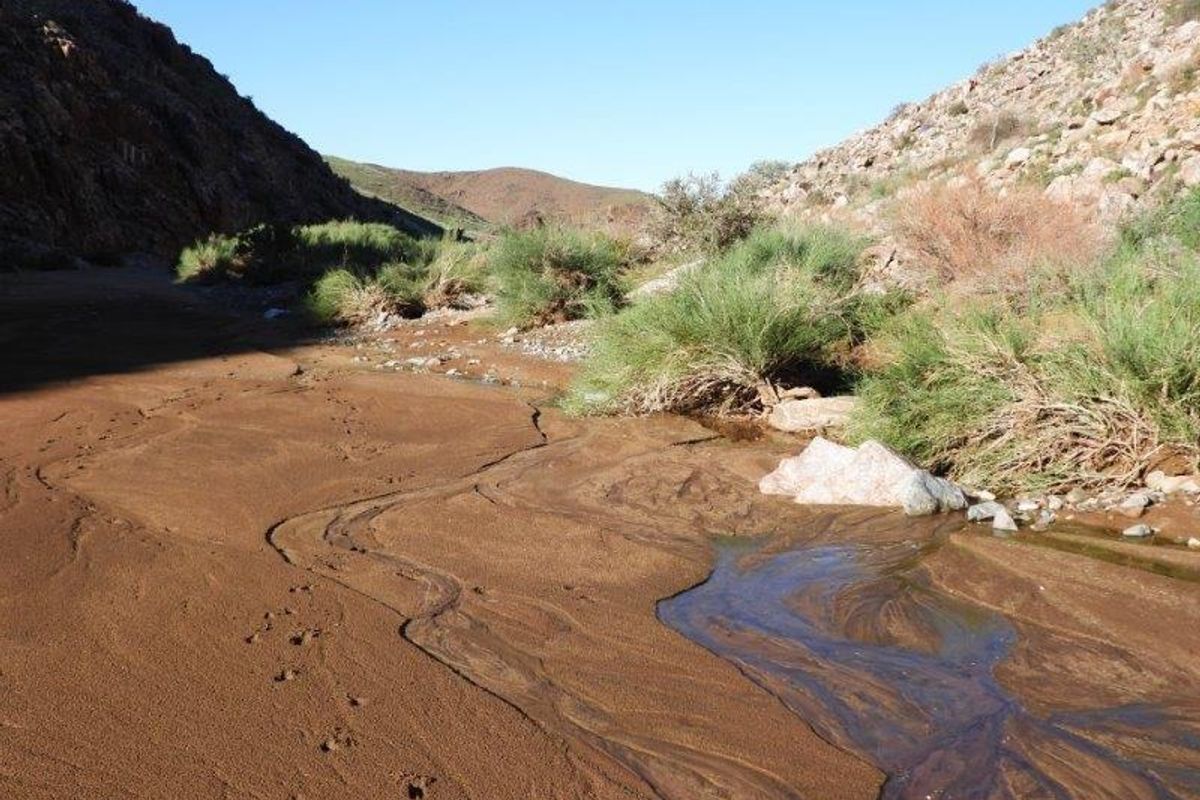 Farm For Sale In Karasburg - Photo 2