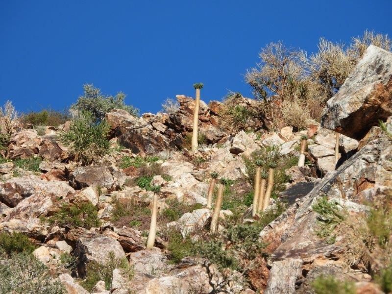 Farm For Sale In Karasburg - Photo 10