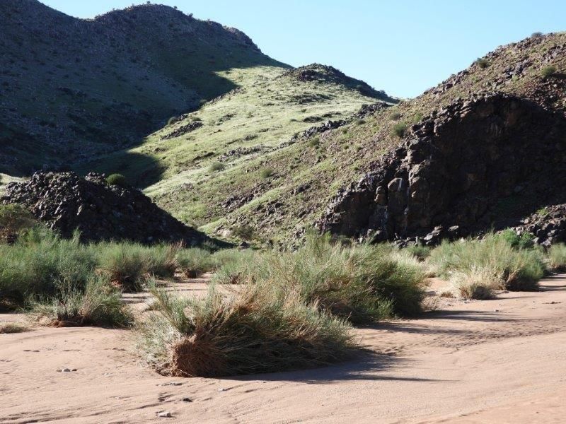 Farm For Sale In Karasburg - Photo 9