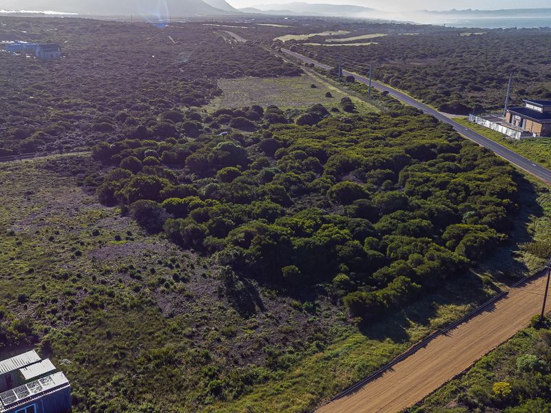 Aerial view of a large, undeveloped commercial land parcel featuring native vegetation, adjacent to a paved road and gravel access path.