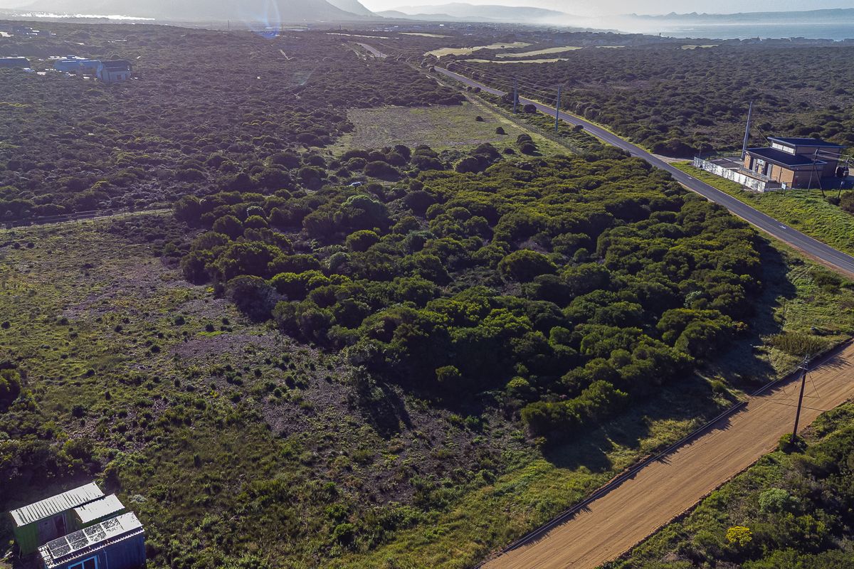 Aerial view of a large, undeveloped commercial land parcel featuring native vegetation, adjacent to a paved road and gravel access path.