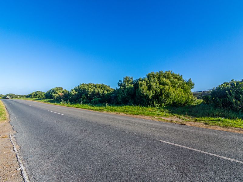 A view of the asphalt road frontage adjacent to the vacant commercial land, featuring established native vegetation and clear road access.
