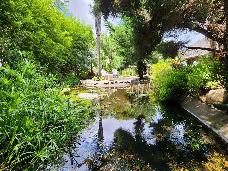 Superb Multipurpose Property: Day Spa, House + Rental Units! - Photo 7