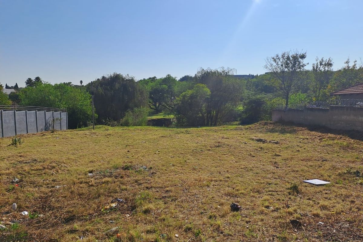 A vacant residential plot featuring established trees, perimeter boundary walls, and open grassed land.