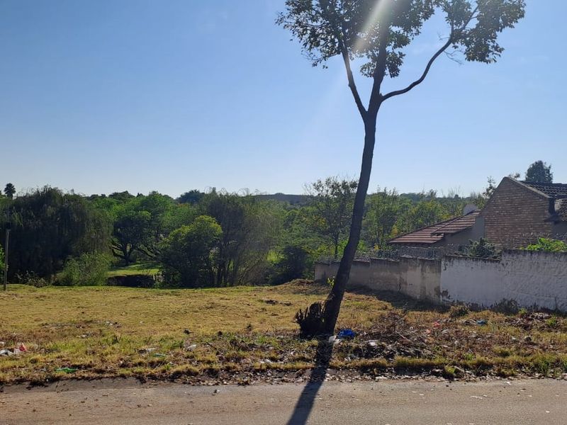 A vacant residential plot featuring a boundary wall and mature trees, offering a clear view of the surrounding landscape.