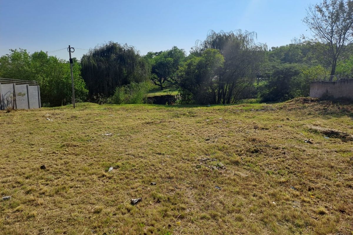 A vacant residential plot featuring established trees, a boundary wall, and a utility pole, offering a natural setting for future development.