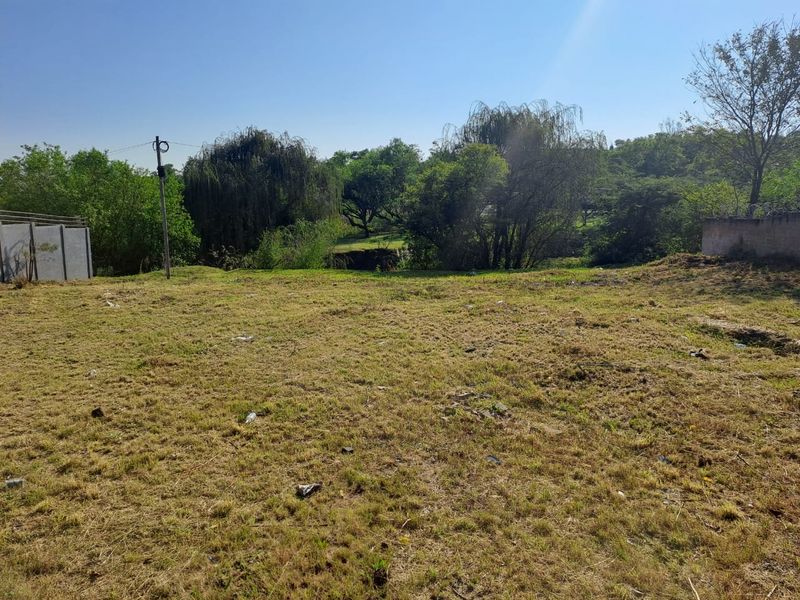 A vacant residential plot featuring established trees, a boundary wall, and a utility pole, offering a natural setting for future development.