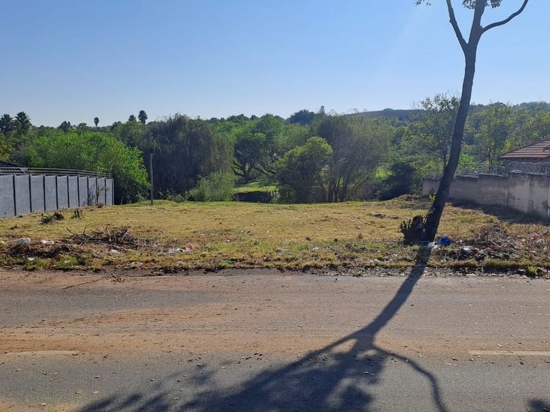 A vacant residential plot viewed from the street, featuring boundary walls and natural vegetation, offering potential for development.