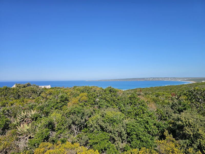 A scenic view overlooking coastal vegetation with a clear outlook towards the ocean and distant coastline.