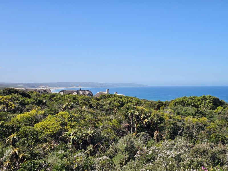 A scenic view overlooking the coastline, featuring native coastal vegetation and distant ocean vistas.