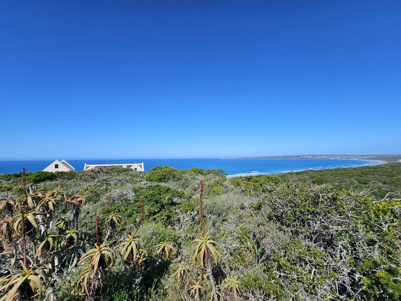 A scenic view of the coastline featuring native vegetation and a clear blue ocean horizon.