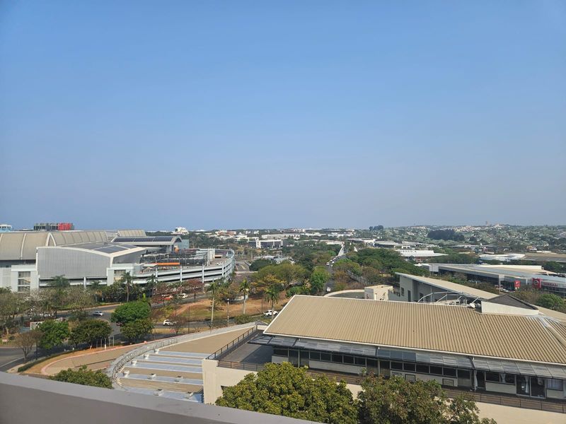 Prime Property presents Aldrovande Palace office for sale - Photo 5