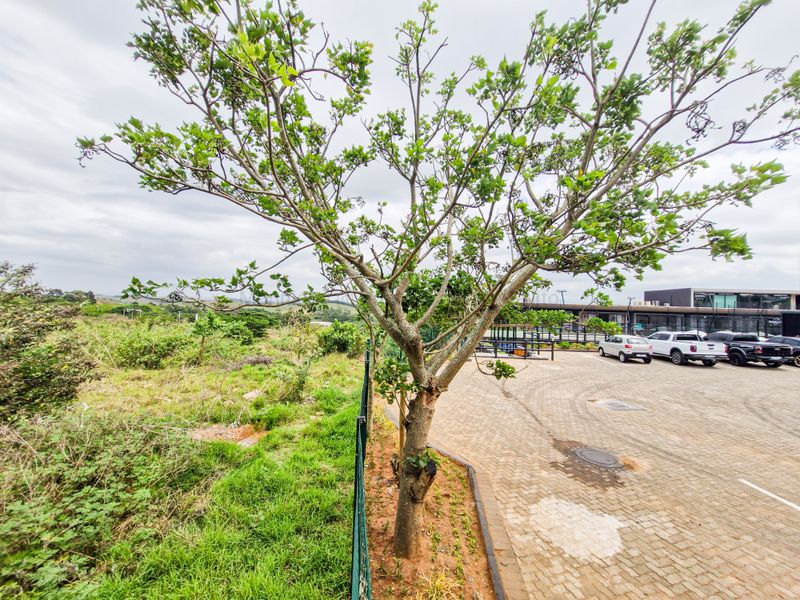 Golden Gateway to the North Coast's most desirable lifestyle  14 439sqm Land - Photo 4