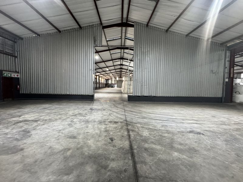Spacious industrial warehouse unit featuring high ceilings with exposed steel trusses, durable concrete flooring, and large sliding access doors.