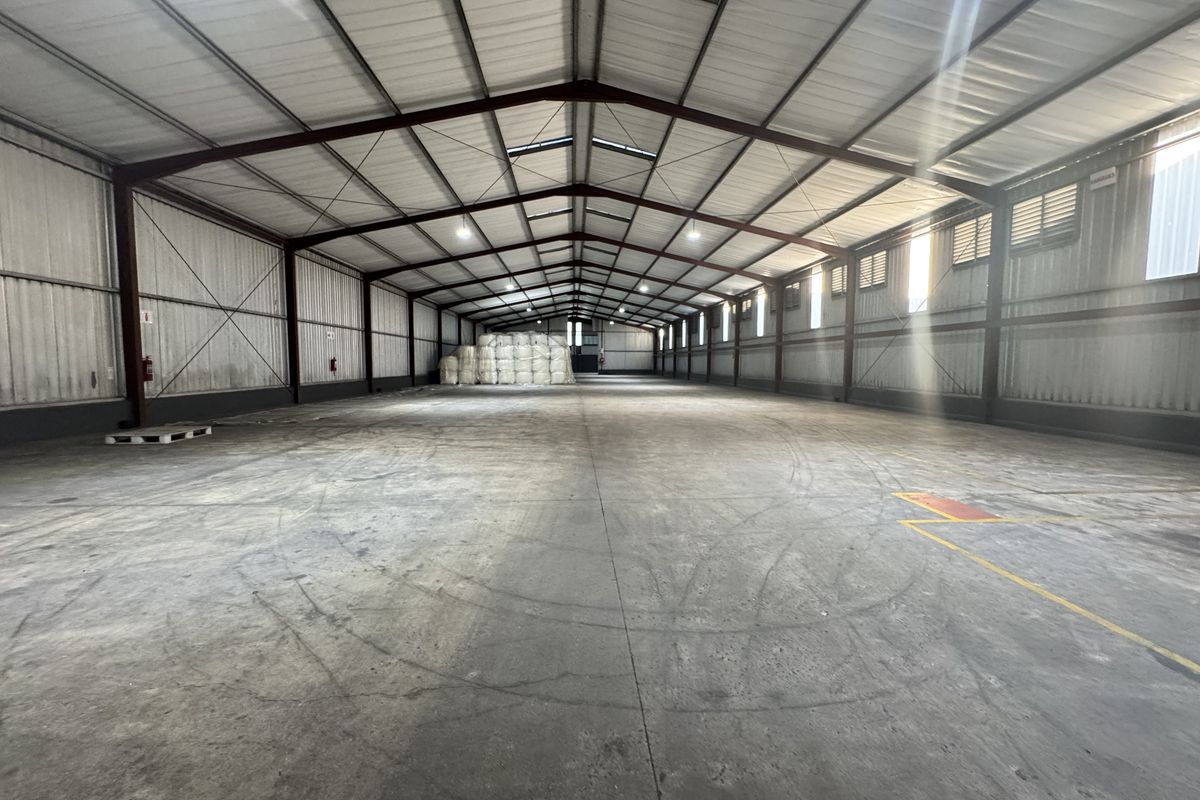 Spacious industrial warehouse featuring a high-clearance steel portal frame, concrete flooring, and natural light provided by integrated roof skylights.