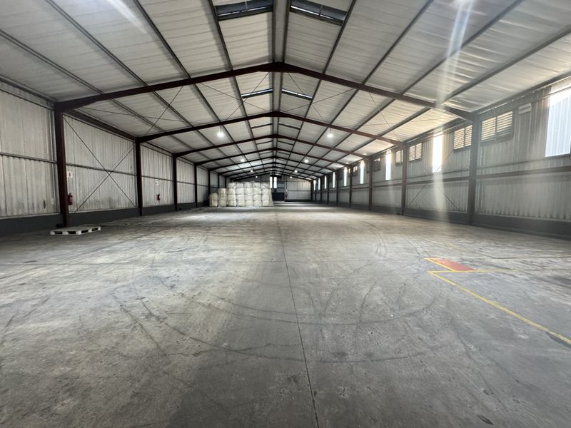 Spacious industrial warehouse featuring a high-clearance steel portal frame, concrete flooring, and natural light provided by integrated roof skylights.