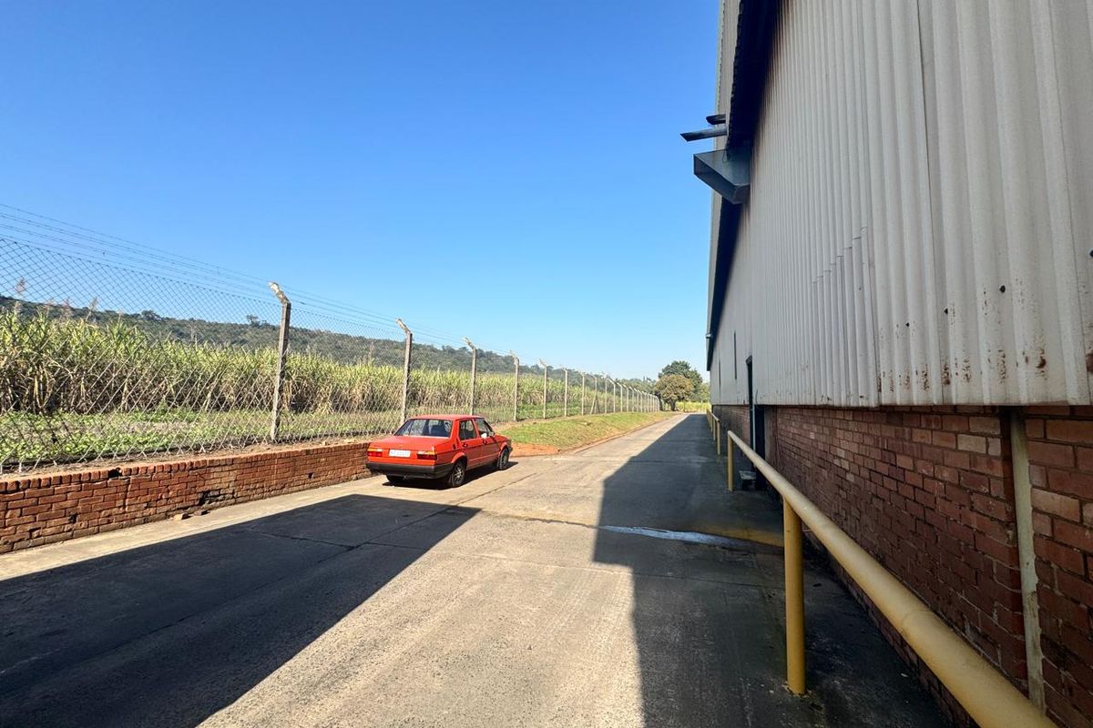 Warehouse Space To Let In The Prime Of Tongaat - Photo 4