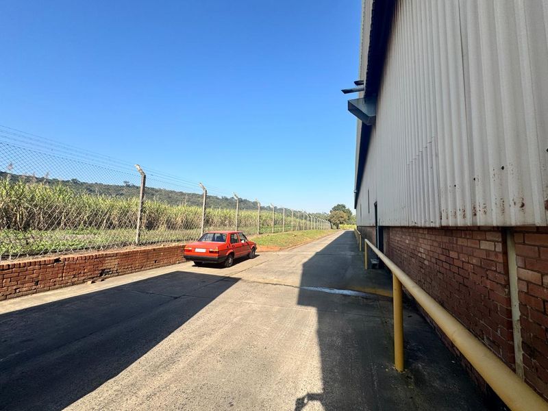 Warehouse Space To Let In The Prime Of Tongaat - Photo 4