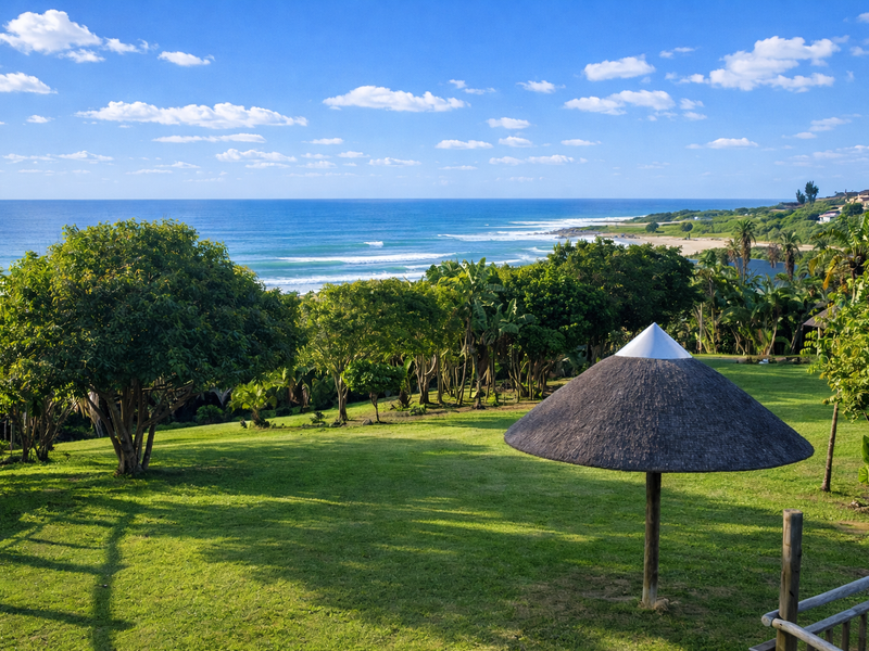 Bed & Breakfast For Sale In Elysium - Photo 3